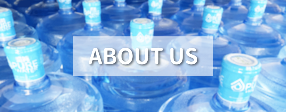 IMG_3537 (1) (1) (1)